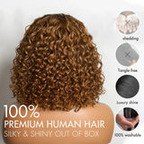 150% Density 5x5 Closure Lace with Boho Braids Pre-Cut Glueless Lace Wig Ombre Brown Highlight Curly